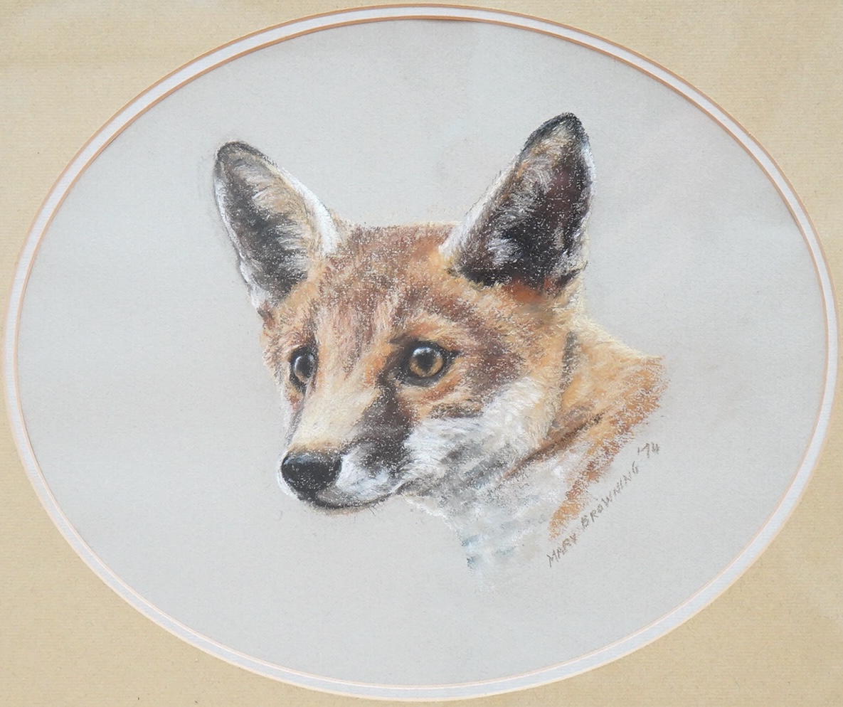 Mary Browning (20th. C), Study of a fox's head, signed and dated '74, oval pastel, 25 x 30cm